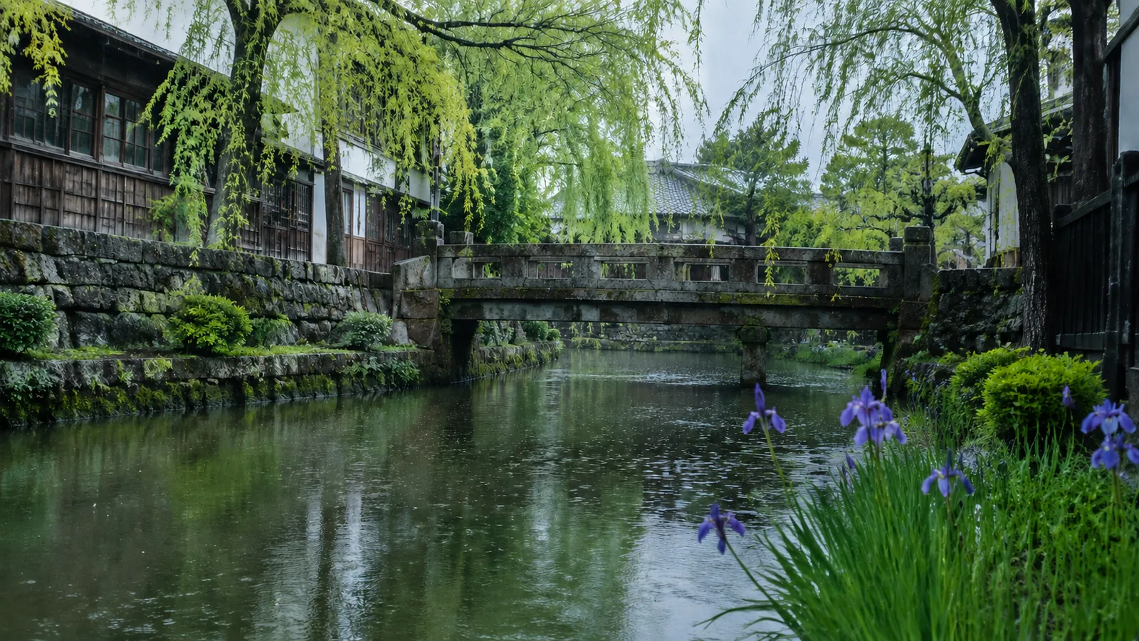 柳の映る古い運河と菖蒲、雨の波紋 ── 和の水辺（イメージ）